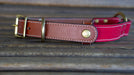 Upland & Downstream leather center ring collar with red waxed cotton and brass hardware