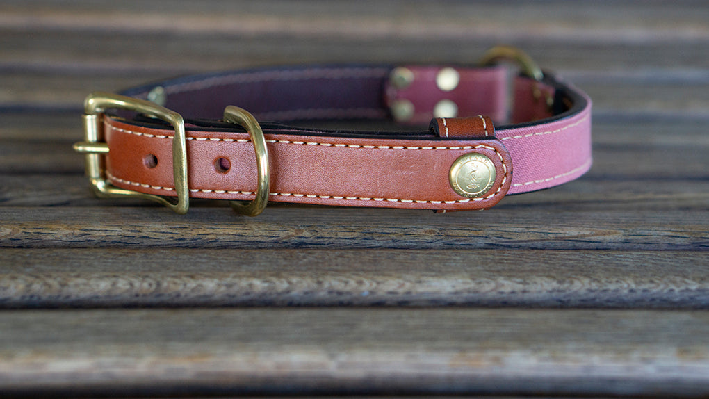 Upland & Downstream Brentwood Center Ring Collar