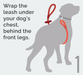 First, wrap the leash under your dog's chest, behind the front legs.