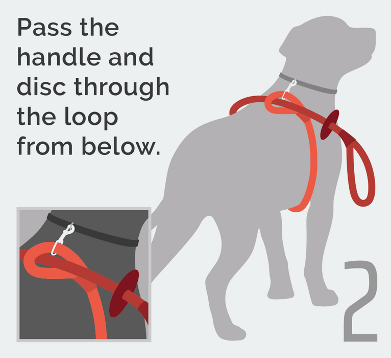 Second, pass the handle and disc through the loop from below.