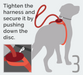 Third, tighten the harness and secure it by pushing down the disc.