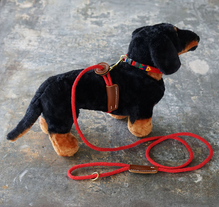display dog with red cotton rope harness - leash
