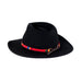 a tail we could wag FoolishFish Red hatband on black hat