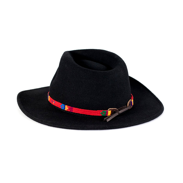 a tail we could wag Hatband