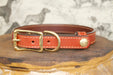 Upland & Downstream Pendleton leather collar with brass hardware and tail snap design