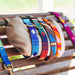 Hand-woven cotton collars in National Parks and Color Block patterns from a tail we could wag brand wrapped around the neck pillow on a wooden outdoor rocking chair, with leashes in Game Day and Foolish Fish patterns hanging on either side.
