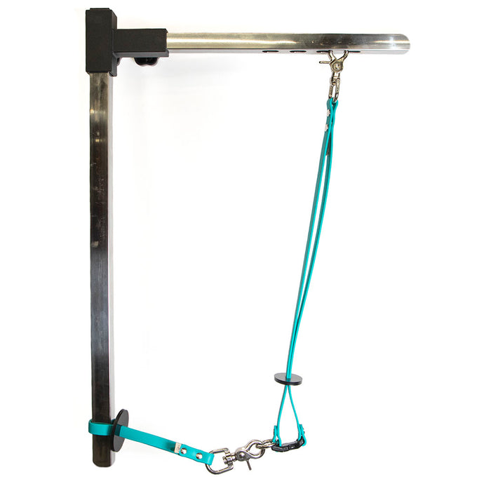 Grooming Loop, shown with Safety Tether connected at the D-Ring, in teal