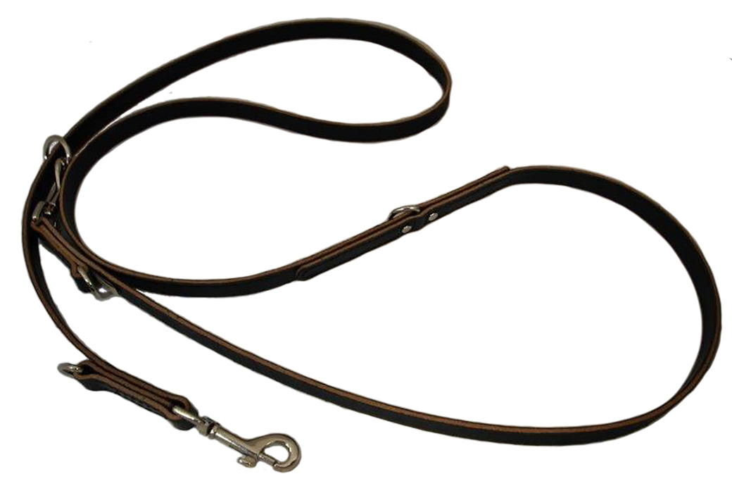 Multi-Function Leash