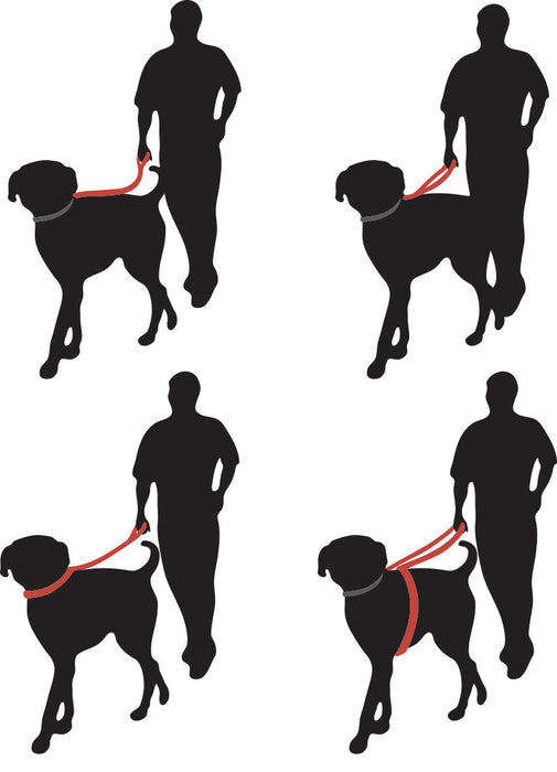 graphic of how to use a multi-function leash