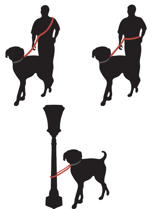 Multi-Function Leash