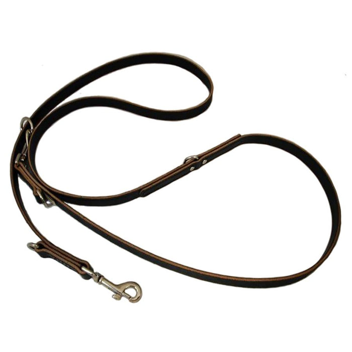Multi-Function Leash