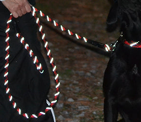 red reflective leash showing reflectivity at night