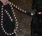 red reflective leash showing reflectivity at night
