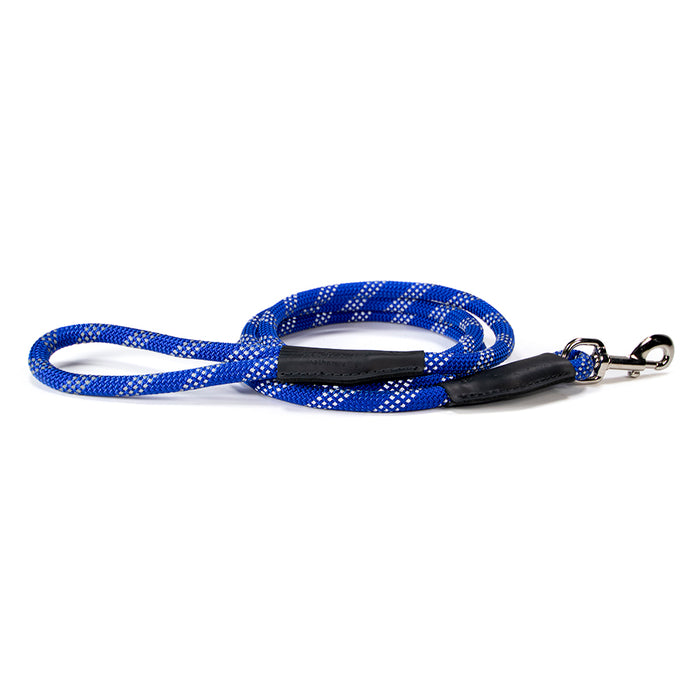 blue reflective leash