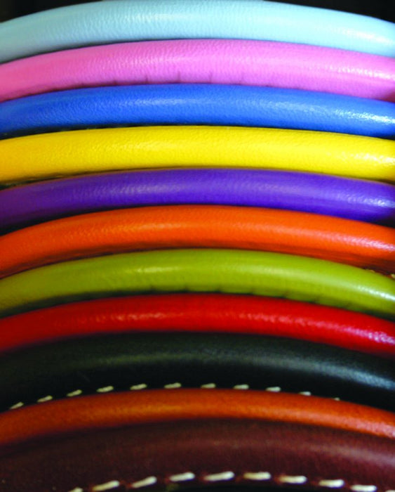 Rolled Leather Leash