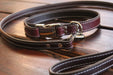 burgundy Seneca side release buckle collar and burgundy Town Leash coiled on wooden picnic table