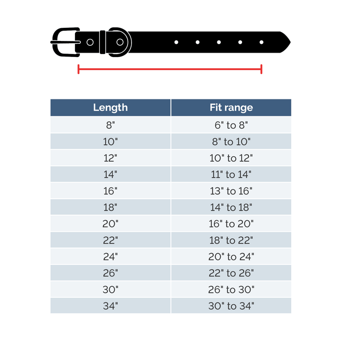 size guide buckle style collar