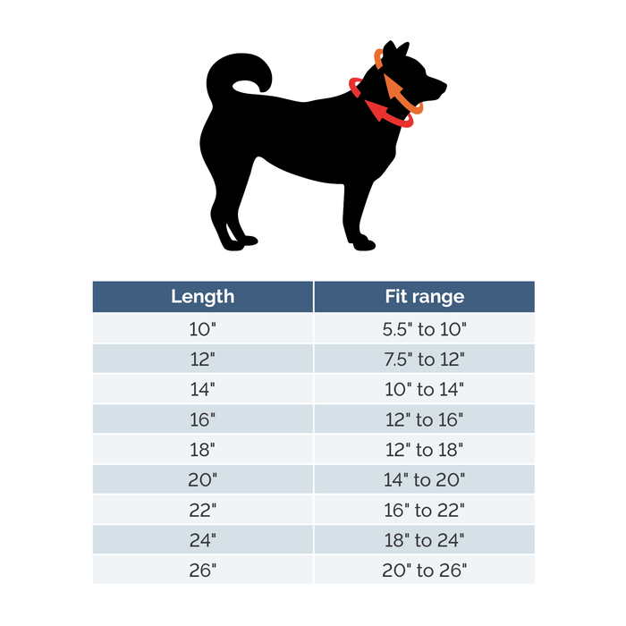 Martingale Shearling-Lined Collar