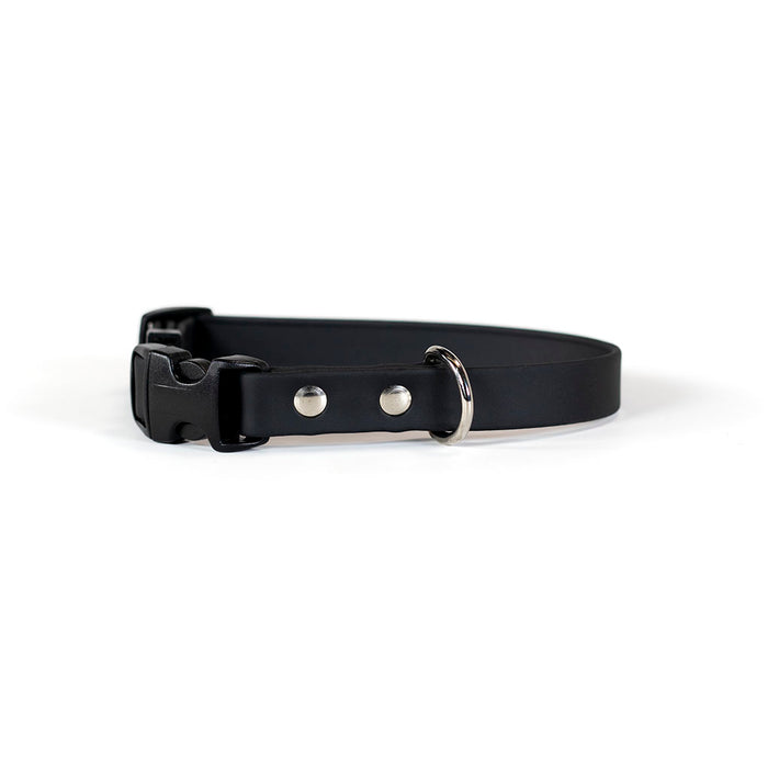 Black Sparky's Choice Adjustable Collar with black buckle