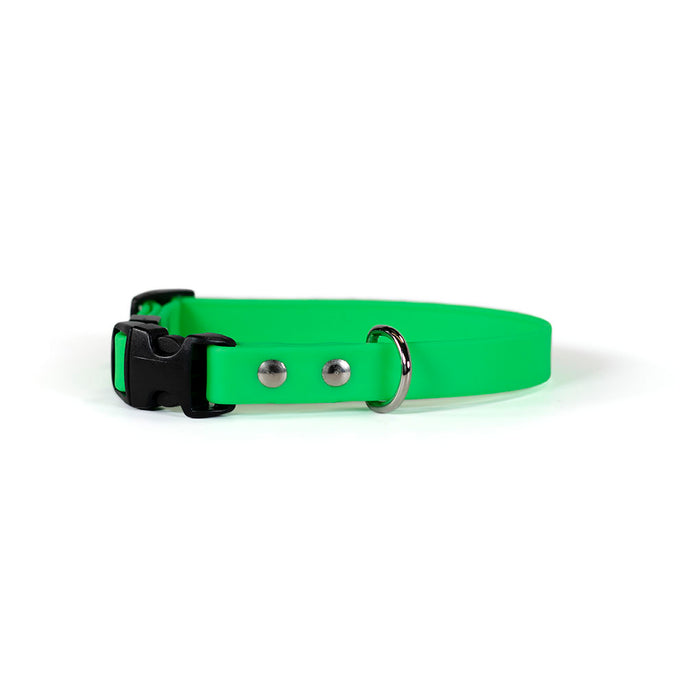 Sparky's Adventure Collar