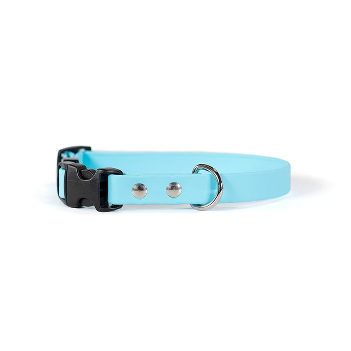 Sparky's Adventure Collar