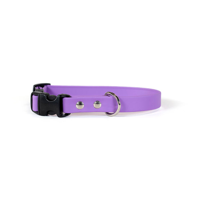 Sparky's Adventure Collar