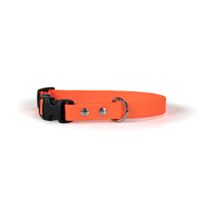 Sparky's Adventure Collar
