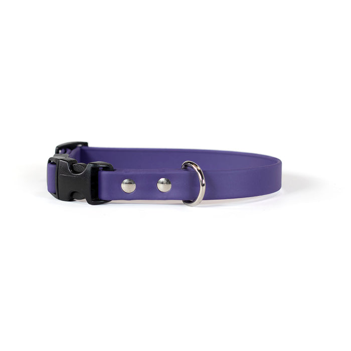 Sparky's Adventure Collar