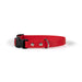 Red Sparky's Choice waterproof adjustable collar with black buckle