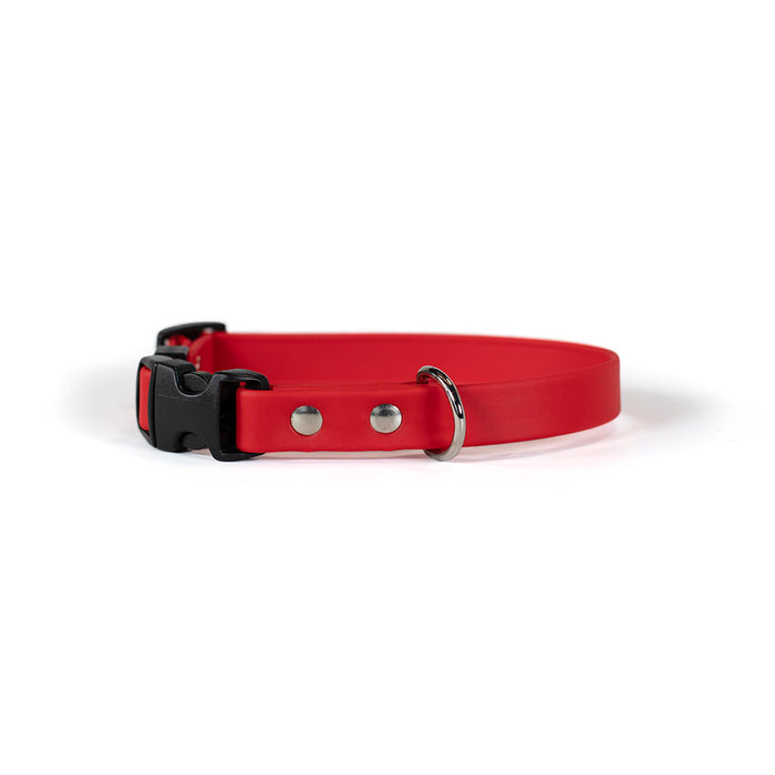 Sparky's Adventure Collar
