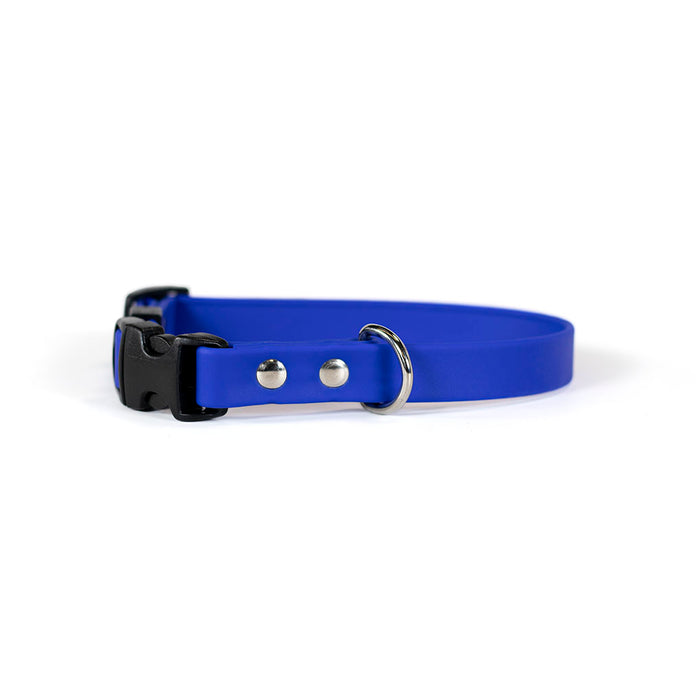 Sparky's Adventure Collar