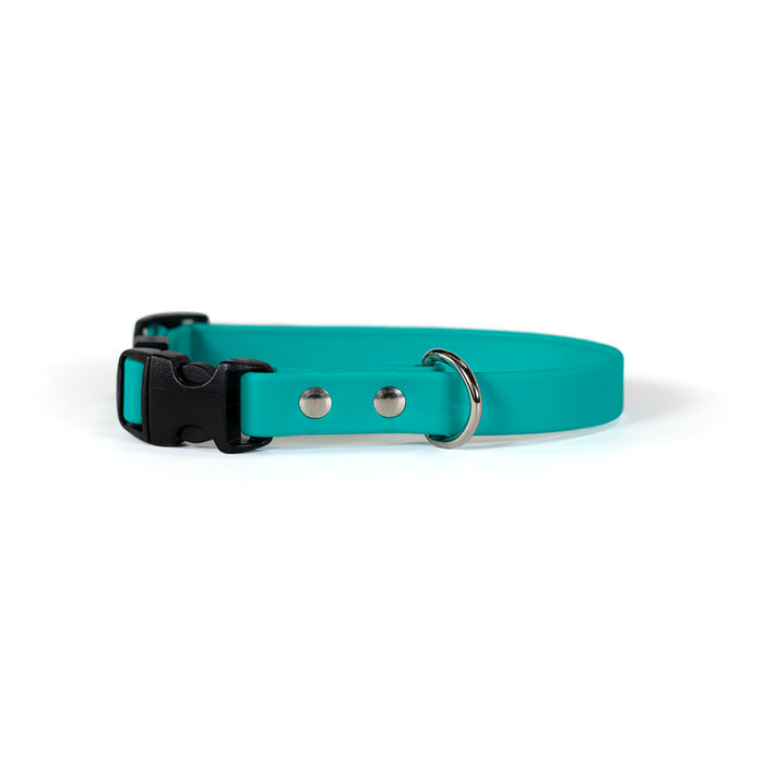 Sparky's Adventure Collar