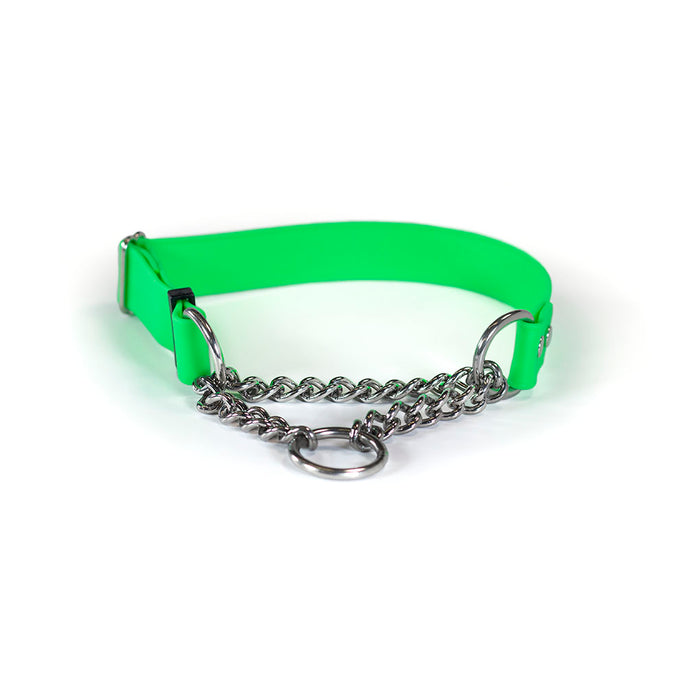 Sparky's Adventure Martingale Collar