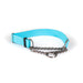 Sparky's Choice Biothane adjustable martingale collar in baby blue