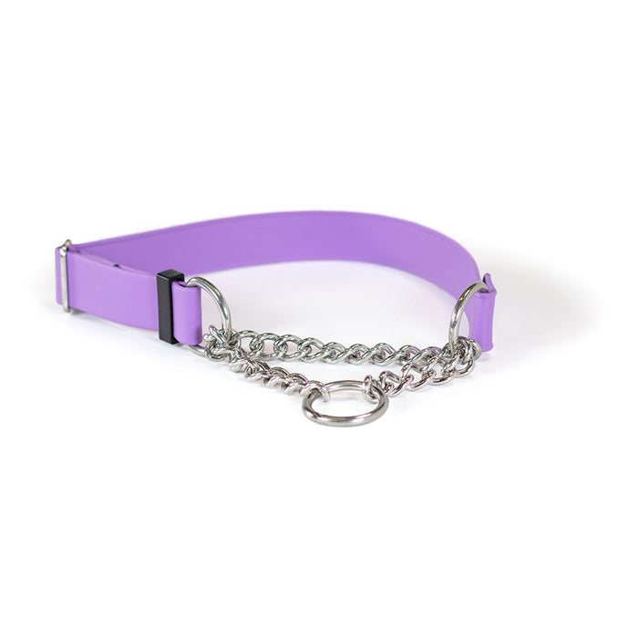 Sparky's Adventure Martingale Collar