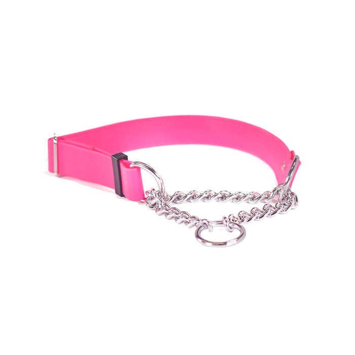 Sparky's Adventure Martingale Collar