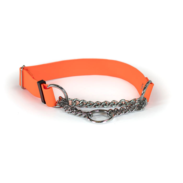 Sparky's Adventure Martingale Collar