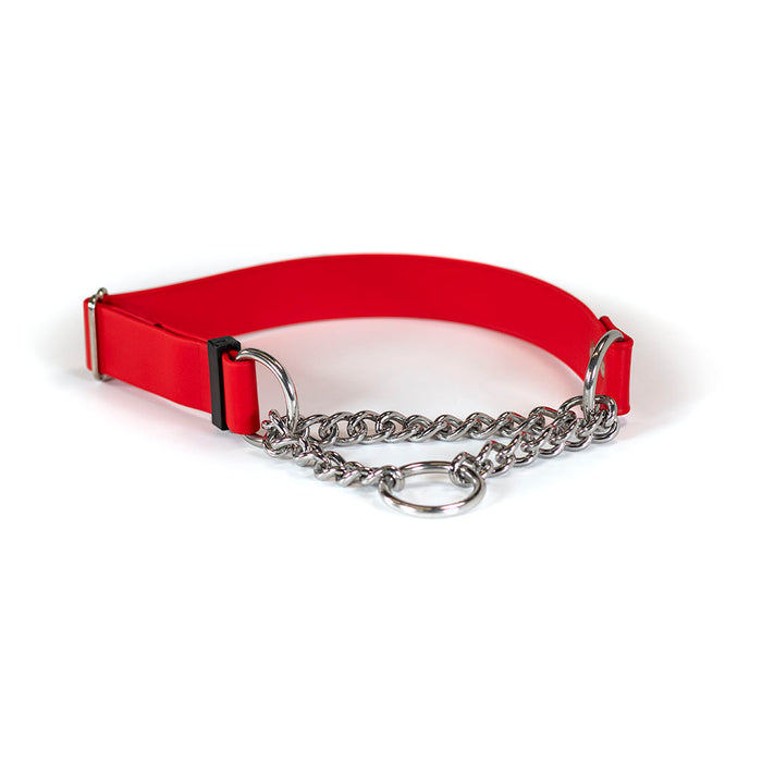 Sparky's Adventure Martingale Collar