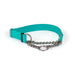 Sparky's Choice Biothane adjustable martingale collar in teal