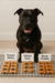 A black pitbull sitting behind Peanut Butter Bones, Salmon Paws, and Bacon Cheddar Biscuits from The Chosen Spot K9 Kitchen on a cooling rack.