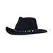 a tail we could wag Sun Valley Night hatband on black hat