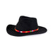 a tail we could wag Toto hatband on black hat