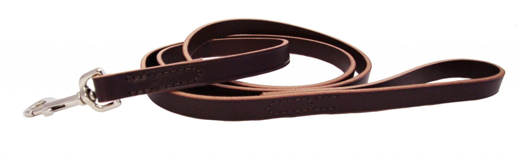 Training Leash - Leather