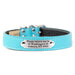 Tuscan Collar in turquoise with custom engraved nameplate
