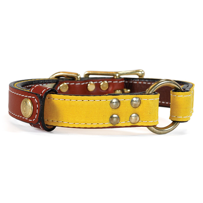 Upland & Downstream Brentwood Center Ring Collar
