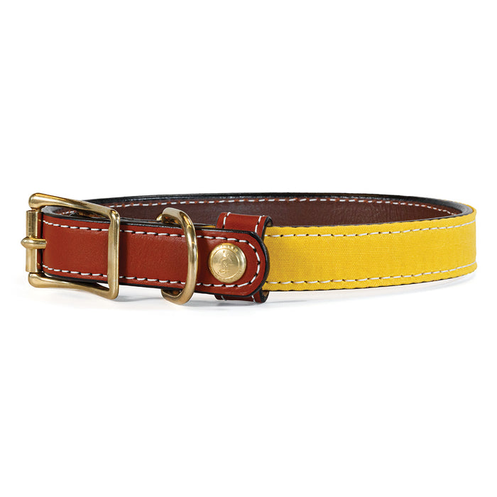 Countryside leather dog collar with yellow canvas
