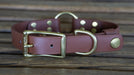 Upland & Downstream brown Biothane collar with brass hardware and tail snap and center ring