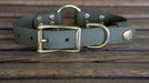 Upland & Downstream OD Biothane collar with brass hardware and tail snap and center ring