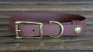 Upland & Downstream brown Biothane collar with brass hardware and tail snap