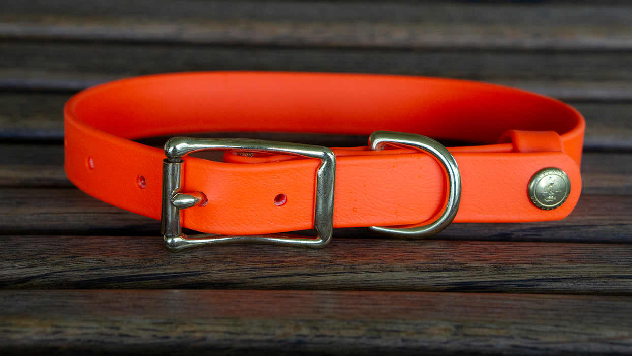 Upland & Downstream orange Biothane collar with brass hardware and tail snap